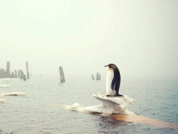 Гідрометцентр: на Волинь суне літня спека