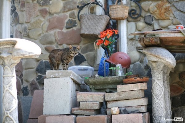 Кіт скульптора повинен вміти позувати