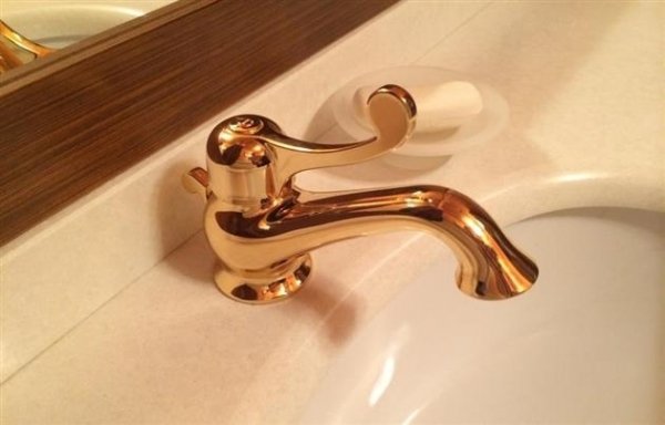 Дача Медведчука на Закарпатті. ФОТО 