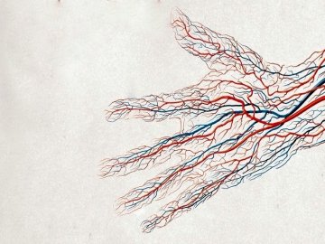 Лікування і зміцнення судин*
