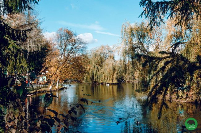 Жовтогаряча осінь у Луцькому зоопарку. ФОТО