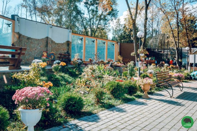 Жовтогаряча осінь у Луцькому зоопарку. ФОТО