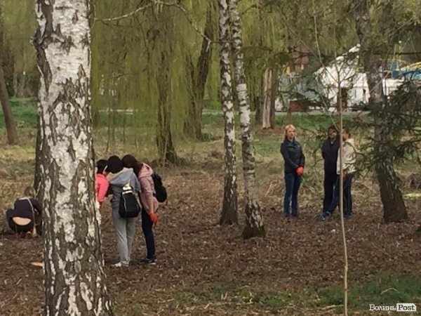 У Луцьку працівники ПриватБанку прибирали і садили дерева в парку ім. Лесі Українки. ФОТО