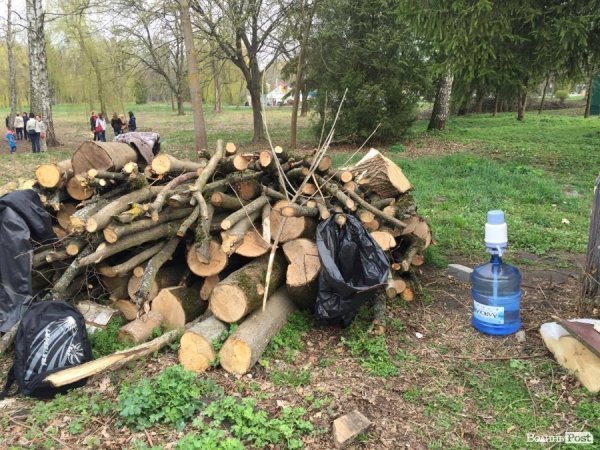 У Луцьку працівники ПриватБанку прибирали і садили дерева в парку ім. Лесі Українки. ФОТО