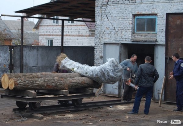 Під Луцьком знищили наркотиків на 2 мільйони гривень. ФОТО