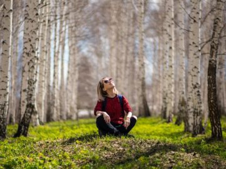 Березовий сік — коли та як правильно збирати його 2026 року: користь напою та кому він протипоказаний