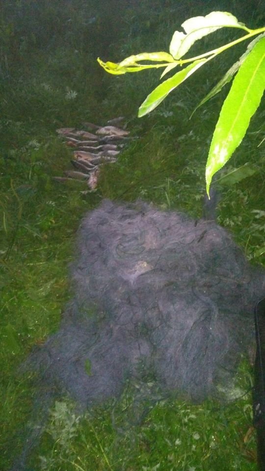 Волинський рибпатруль за один день викрив 7 браконьєрів. ФОТО