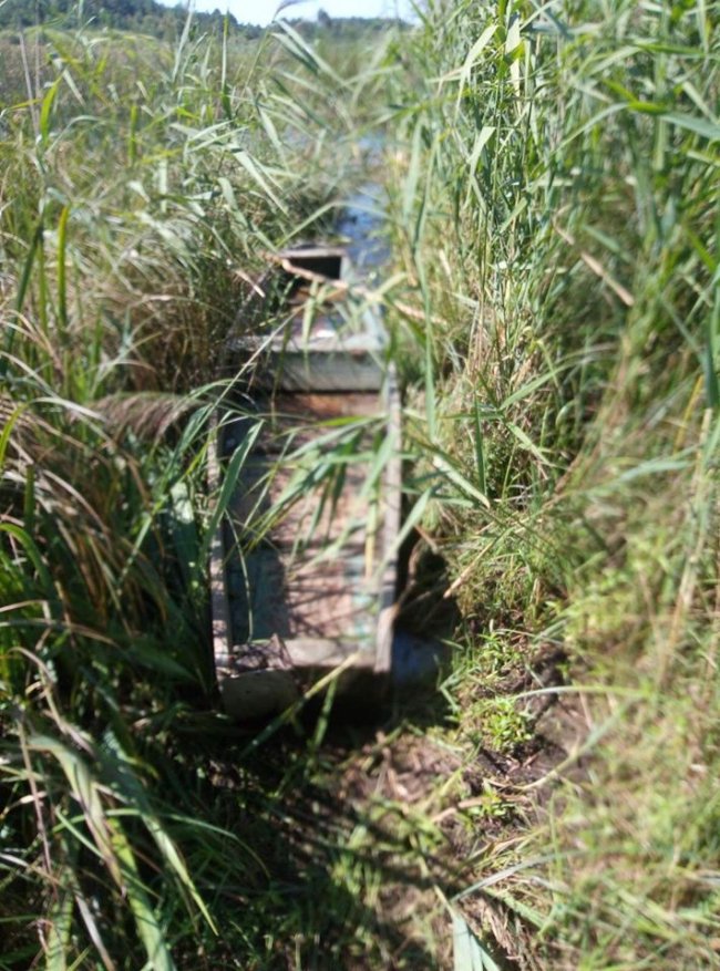 Волинський рибпатруль за один день викрив 7 браконьєрів. ФОТО