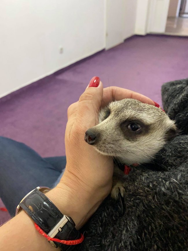 У Луцькому зоопарку – новий мешканець. ФОТО