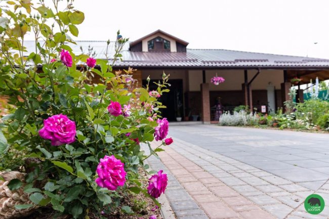 Квіти Луцького зоопарку: 37 дивовижних фото