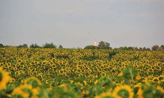 Мальовнича та неповторна природа волинського села. ФОТО