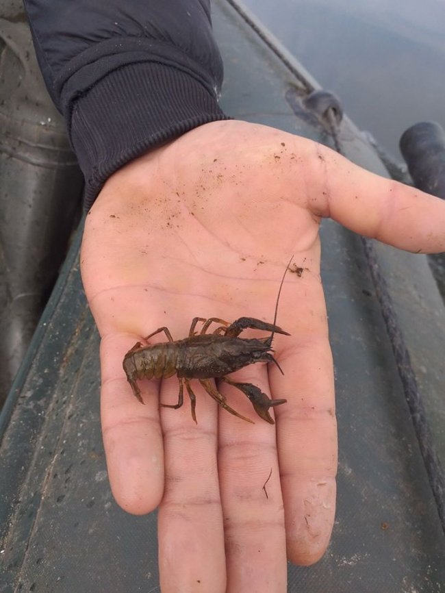 У Шацькому районі  браконьєри на озері ловили рибу сітками