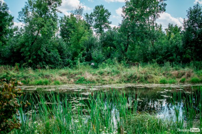 Літо у луцькому парку. ФОТО