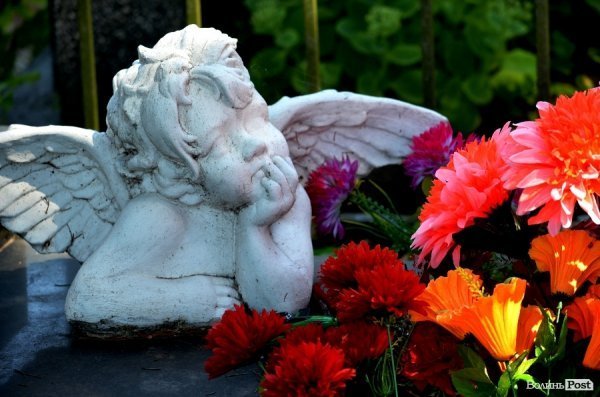 На кладовищі Луцька повалені пам'ятники, а могили заросли чагарниками. ФОТО