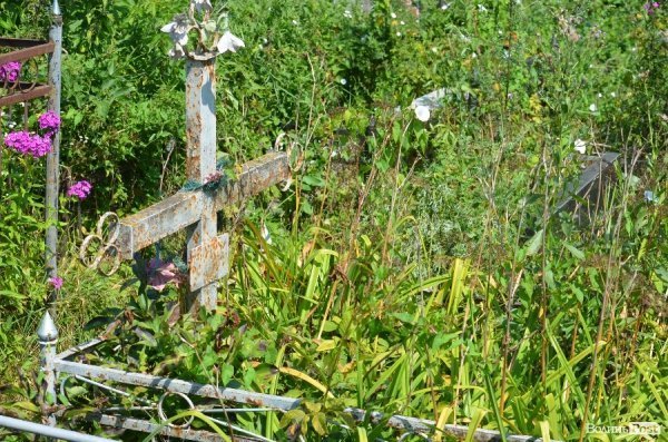 На кладовищі Луцька повалені пам'ятники, а могили заросли чагарниками. ФОТО