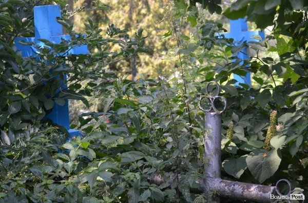 На кладовищі Луцька повалені пам'ятники, а могили заросли чагарниками. ФОТО