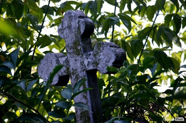На кладовищі Луцька повалені пам'ятники, а могили заросли чагарниками. ФОТО