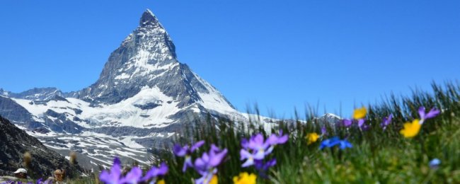 Польща, Норвегія, Фінляндія: хто відкрив кордони для українців восени