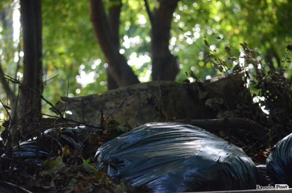 Лучани винесли 150 мішків сміття з скверу Героїв Майдану. ФОТО 