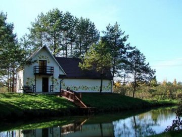 Сальмонельоз: поставили діагноз п'ятьом людям, які отруїлися на волинському весіллі