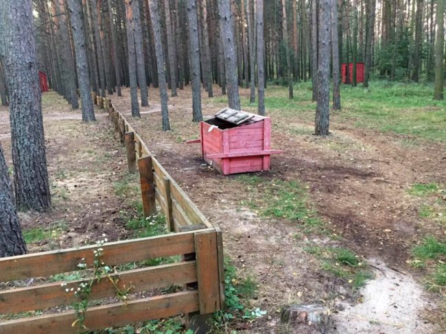 На Волині лісівники прибрали місце відпочинку біля озера, яке закидали сміттям