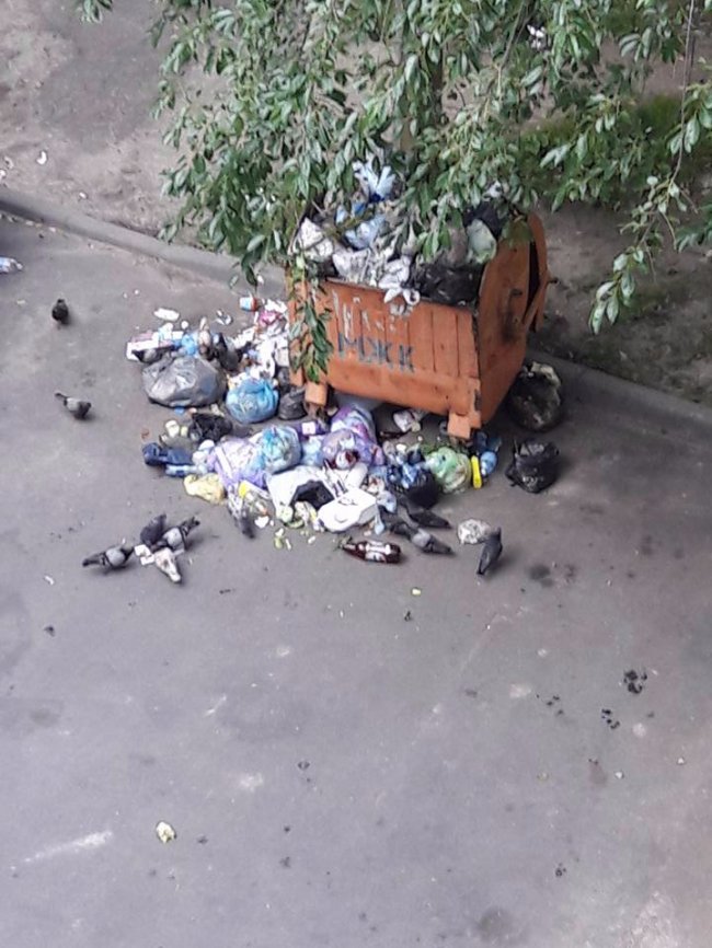 Неначе в Львові: в Луцьку майже місяць не вивозять сміття з контейнера