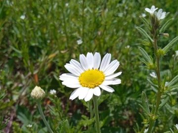 Добрі новини від ВолиньPost за 31 травня 