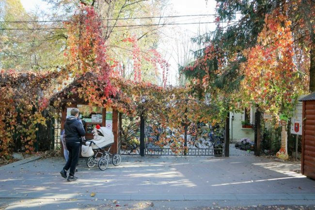 У Луцькому зоопарку відгуляли свято гарбуза: як це було. ФОТО