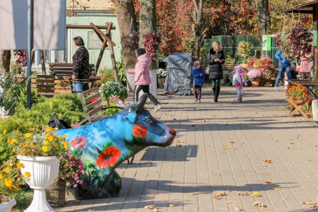 У Луцькому зоопарку відгуляли свято гарбуза: як це було. ФОТО