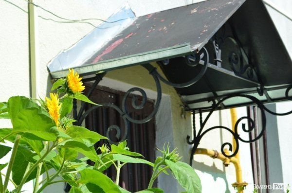 Місто, яке я люблю. Квіти Луцька