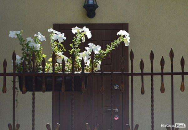 Місто, яке я люблю. Квіти Луцька