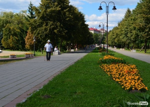 Місто, яке я люблю. Квіти Луцька