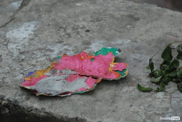 стара шкіра Слоника