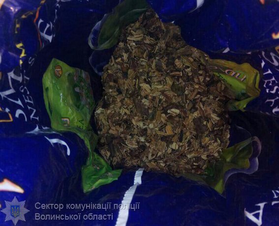 У волинянина вилучили кілограм макової соломки
