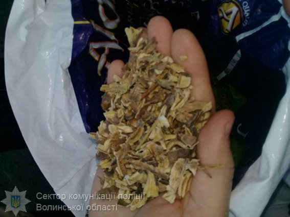 У волинянина вилучили кілограм макової соломки
