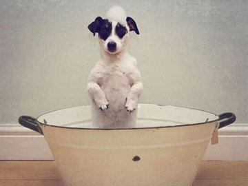 Волинське місто на день залишиться без води 