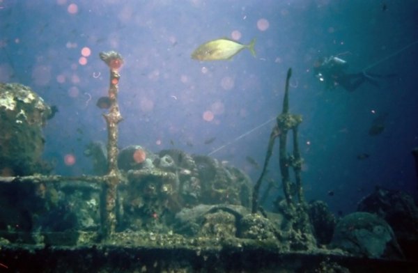 Уламки затонулого корабля Thistelgorm, про який Ігор Єремеєв планував зняти фільм