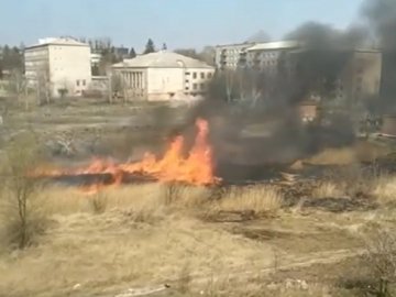 У місті на Волині поблизу автостоянки горіла суха трава. ВІДЕО