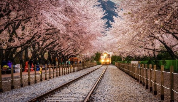 Станція в Чінхе, Південна Корея