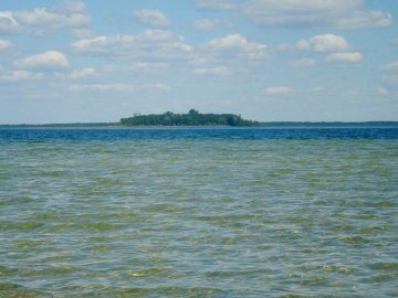 Толоку на Світязі перенесли