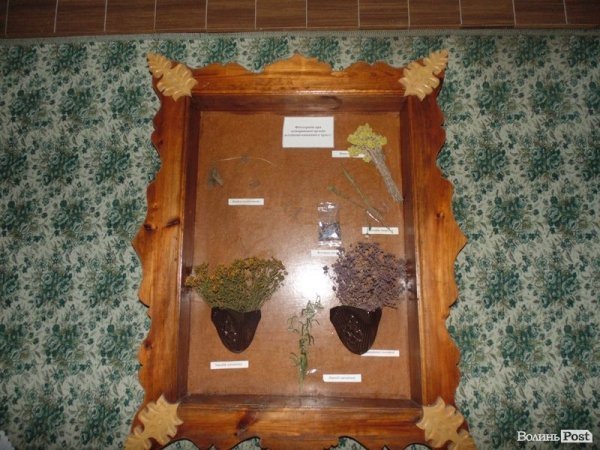 На Волині проінспектували заклади відпочинку. ФОТО