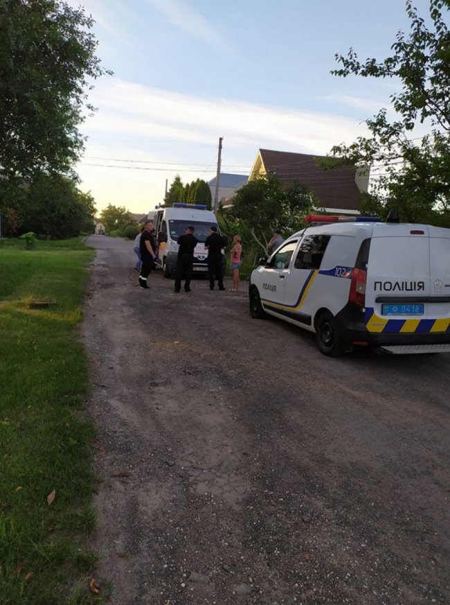 У селі під Луцьком пес покусав дитину