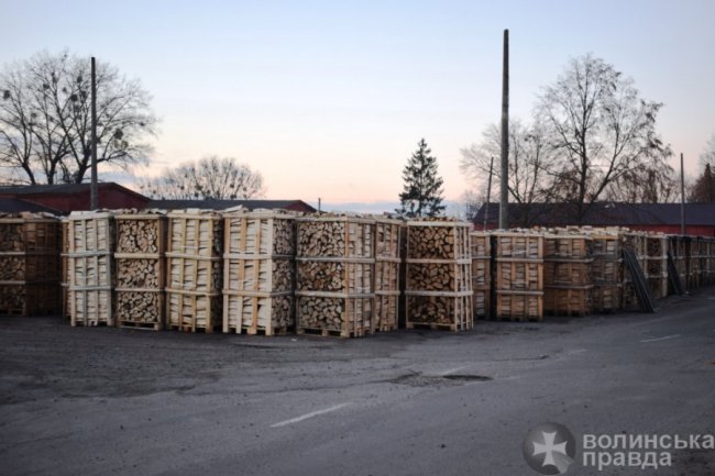 Як район на Волині заробляє на лісових скарбах