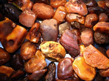 Волинські прокурори передали державі бурштину майже на 1 мільйон гривень