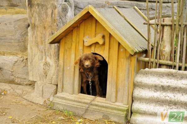 Луцький фотограф показав красу осені в музеї-скансені
