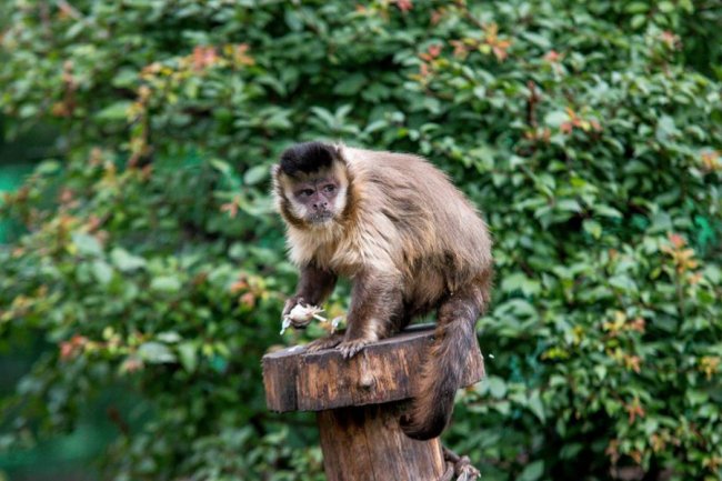 Рівненський звіринець на світлинах волинського фотографа. ФОТО