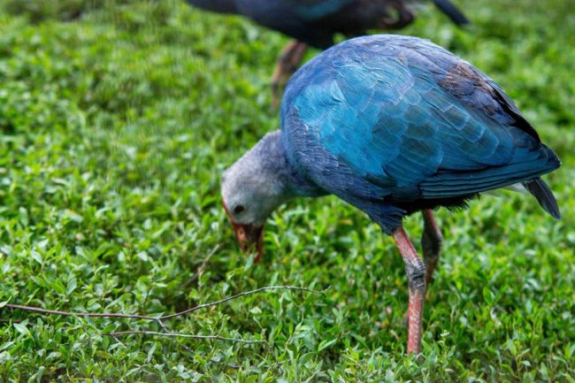 Рівненський звіринець на світлинах волинського фотографа. ФОТО