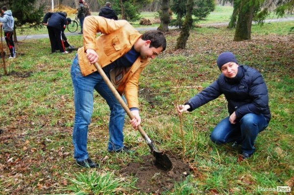 У Центральному парку Луцька чиновники і молодь садили дерева