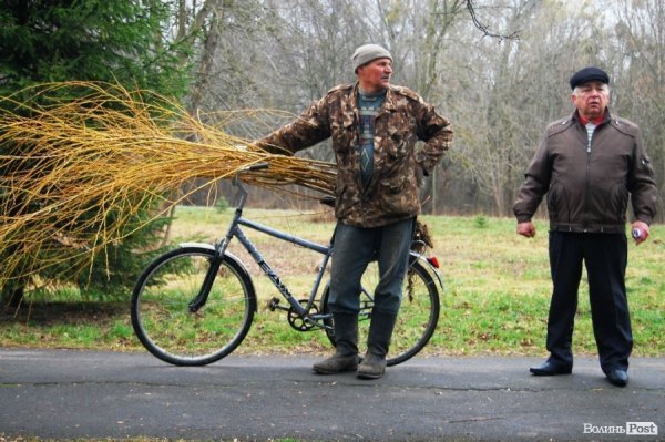 У Центральному парку Луцька чиновники і молодь садили дерева