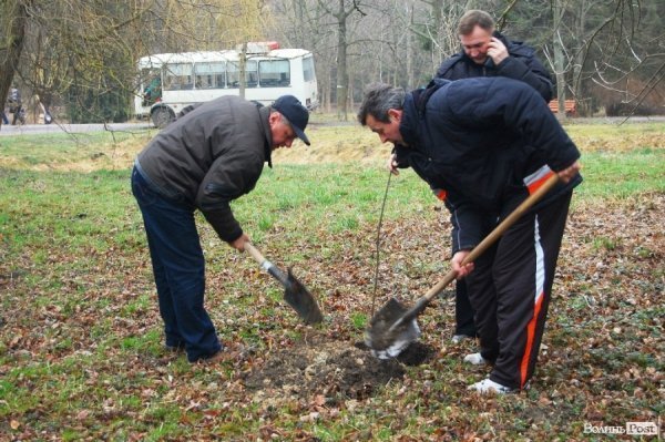 У Центральному парку Луцька чиновники і молодь садили дерева